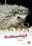 Weißbauchigel Guist Daniela