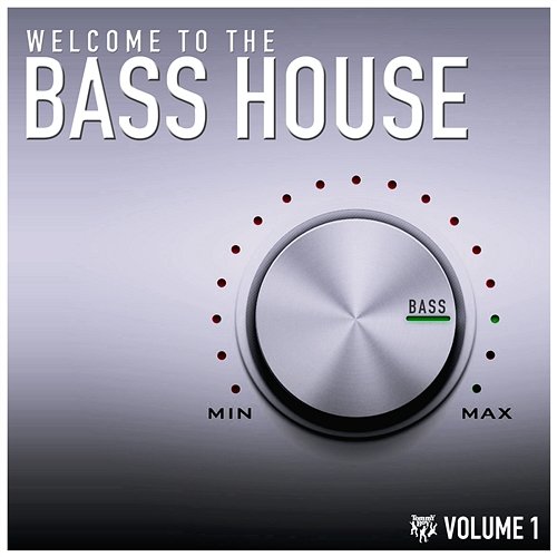 Welcome to the Bass House Various Artists