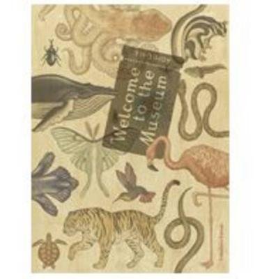 Welcome to the Museum: Animalium Collector's Edition Broom Jenny