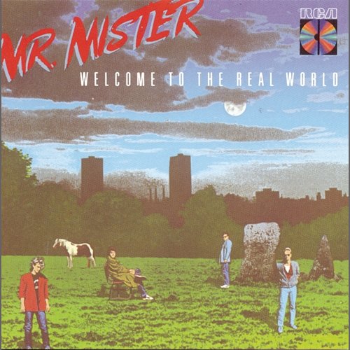 Welcome To The Real World Mr. Mister