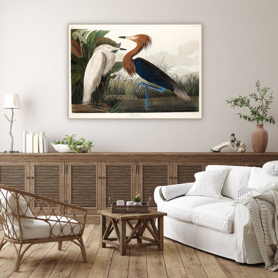 Well Done Shop | Obraz John James Audubon "Fioletowa Czapla" | wym. 50x70 cm Well Done Shop