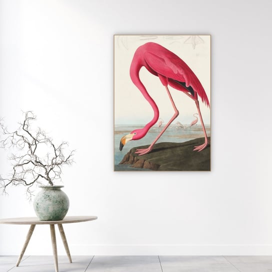 Well Done Shop | Obraz John James Audubon "Różowy flaming" | wym. 50x70 cm Well Done Shop