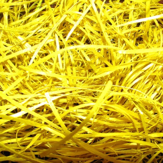 Wełna Drzewna Żółta Wypełniacz Sianko Wypełnienie Dekoracyjne 100g Kolorowe Motki