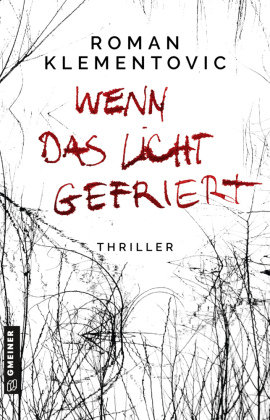 Wenn das Licht gefriert Gmeiner-Verlag