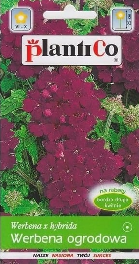 Werbena ogrodowa fioletowa 0,5 g Plantico Inna marka