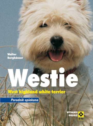 Westie. West highland white terrier Berghauser Walter
