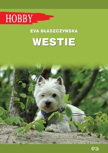 Westie. West highland white terrier Błaszczyńska Eva