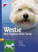 Westie. West Highland White Terrier Berghauser Walter