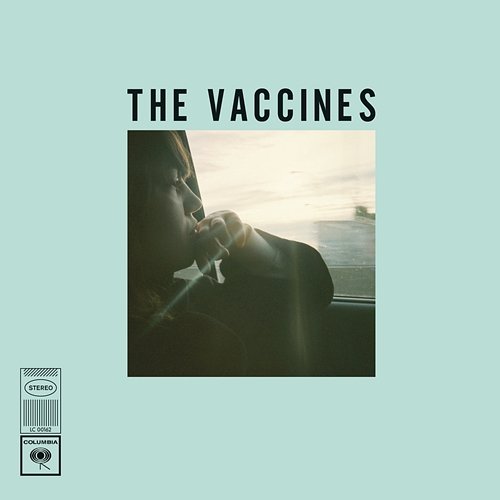 Wetsuit / Tiger Blood The Vaccines