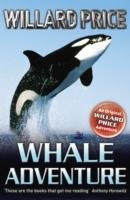 Whale Adventure Price Willard