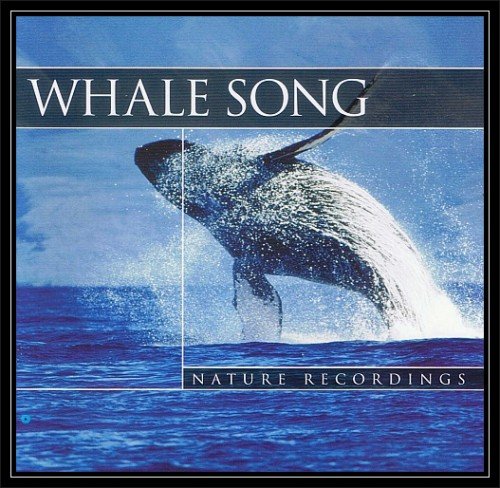 Whale Song Various Artists