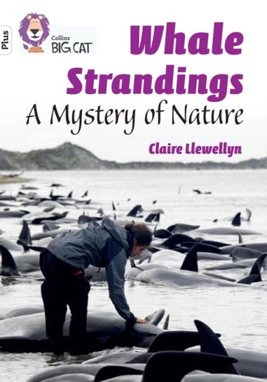 Whale Strandings: A Mystery of Nature: Band 10+White Plus Llewellyn Claire