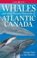 Whales and Other Marine Mammals of Atlantic Canada Eder Tamara