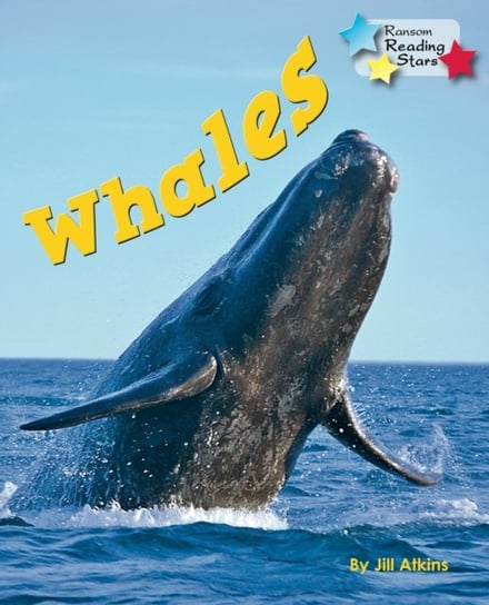 Whales Jill Atkins