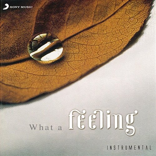 What A Feeling Merlyn Dsouza, Charles Siqueira Vaz