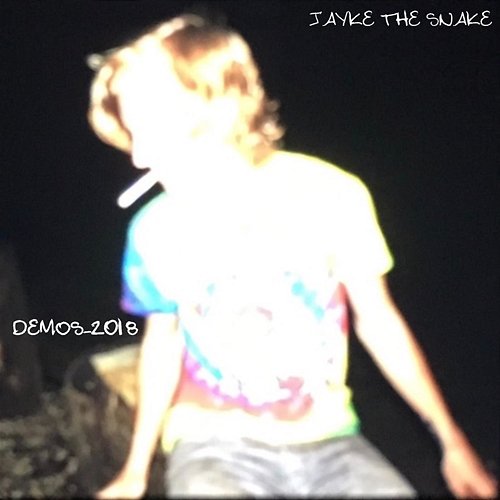 What a Life We Live (Demos-2018) Jayke The Snake