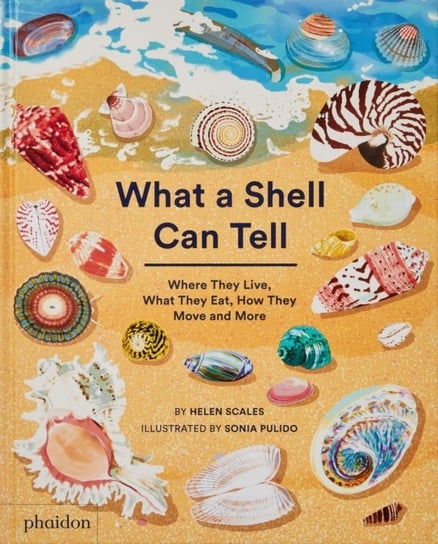 What A Shell Can Tell Helen Scales