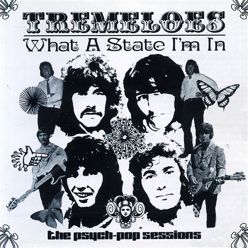 What a State I'm In: The Psych-Pop Sessions The Tremeloes