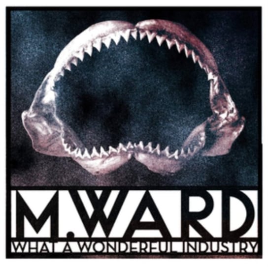 What A Wonderful Industry, płyta winylowa Ward M.