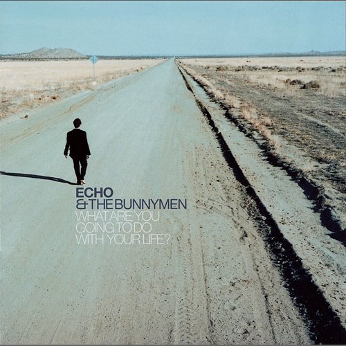 What Are You Going To Do With Your Life? Echo & The Bunnymen