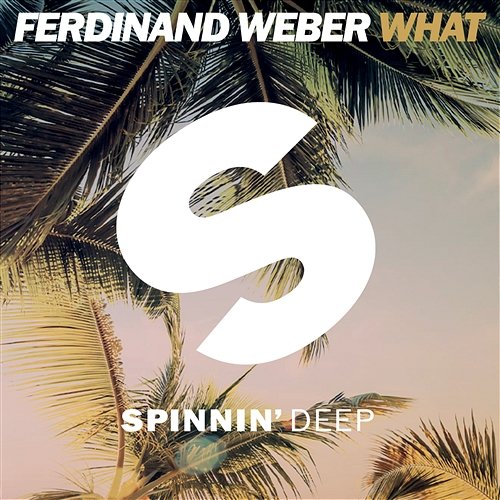 What Ferdinand Weber