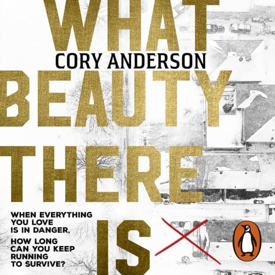 What Beauty There Is Anderson Cory