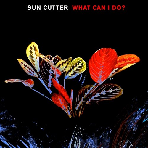 What Can I Do? Sun Cutter