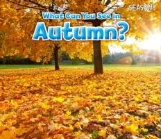 What Can You See in Autumn? Smith Sian