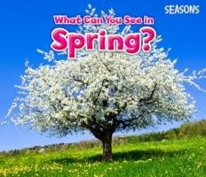 What Can You See in Spring? Smith Sian
