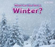 What Can You See in Winter? Smith Sian