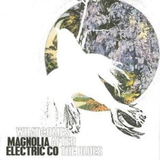 What Comes After The Blues Magnolia Electric Co.