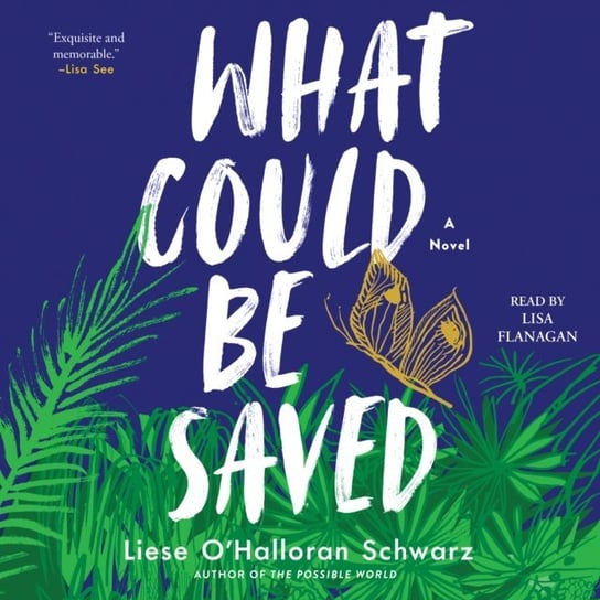 What Could Be Saved Schwarz Liese O'Halloran
