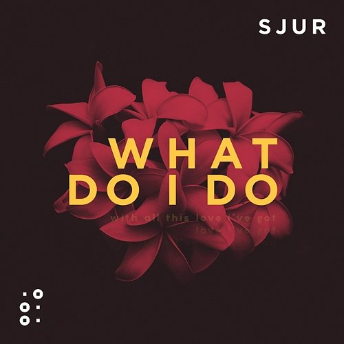What Do I Do SJUR