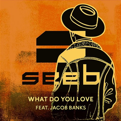 What Do You Love Seeb feat. Jacob Banks