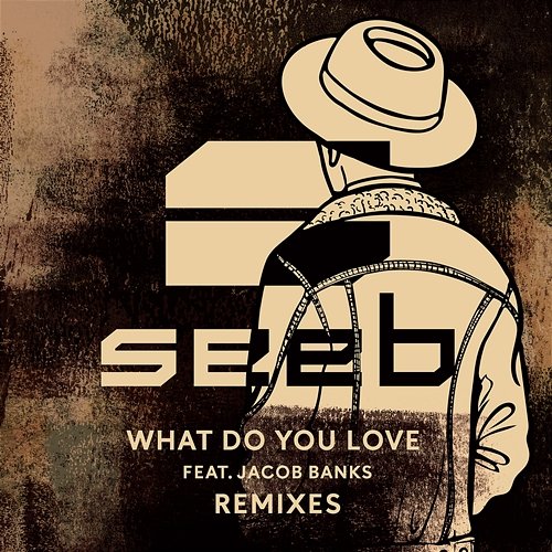 What Do You Love Seeb feat. Jacob Banks