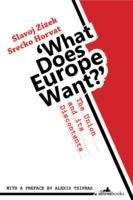 What Does Europe Want? Zizek Slavoj, Horvat Srecko