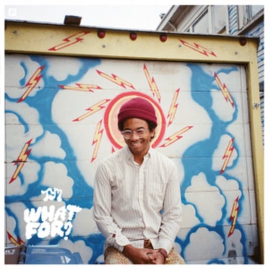 What For? Toro Y Moi