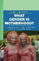 What Gender is Motherhood? Oyewumi Oyeronk¿´