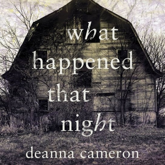 What Happened That Night Cameron DeAnna