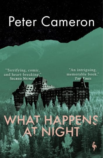 What Happens at Night Peter Cameron