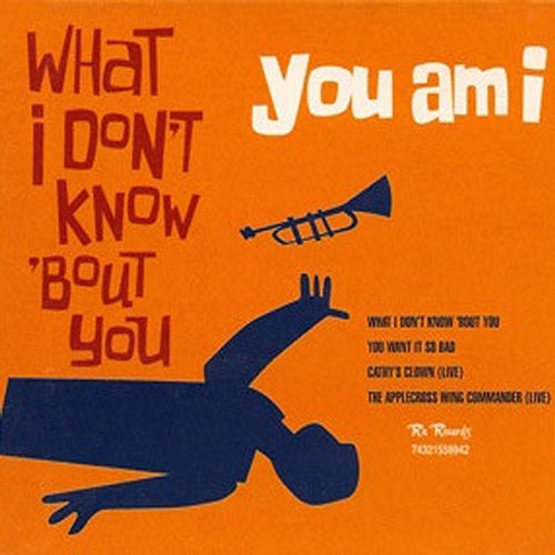 What I Don't Know 'Bout You You Am I