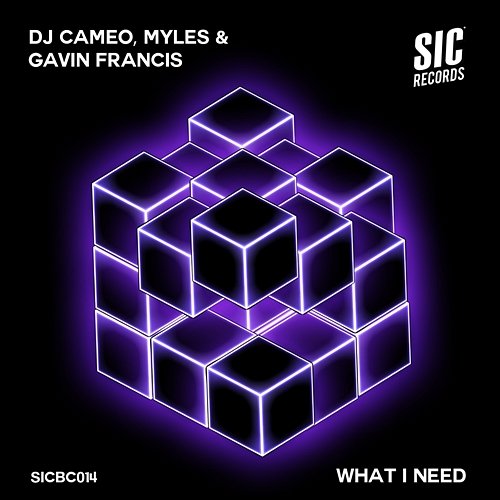 What I Need DJ Cameo, Myles & Gavin Francis
