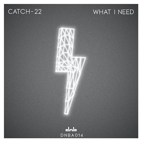 What I Need Catch-22 NZ