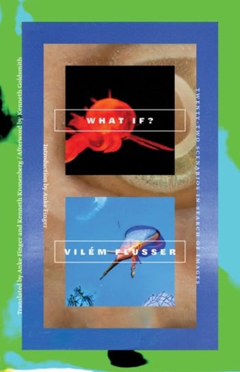What If?: Twenty-Two Scenarios in Search of Images Flusser Vilem