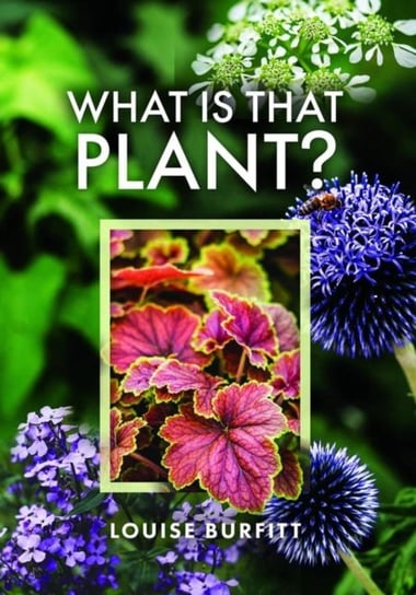 What is that Plant? Louise Burfitt