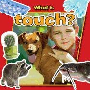 What Is Touch? Aloian Molly, Smith Paula