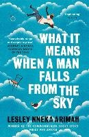 What It Means When A Man Falls From The Sky Arimah Lesley Nneka