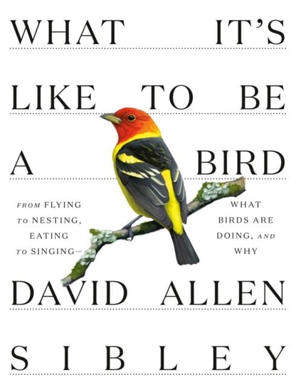 What Its Like to be a Bird Sibley David Allen