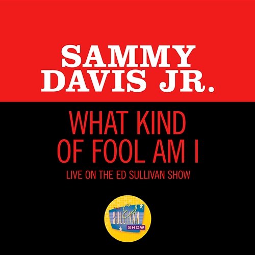 What Kind Of Fool Am I Sammy Davis Jr.