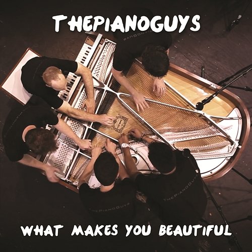 What Makes You Beautiful The Piano Guys